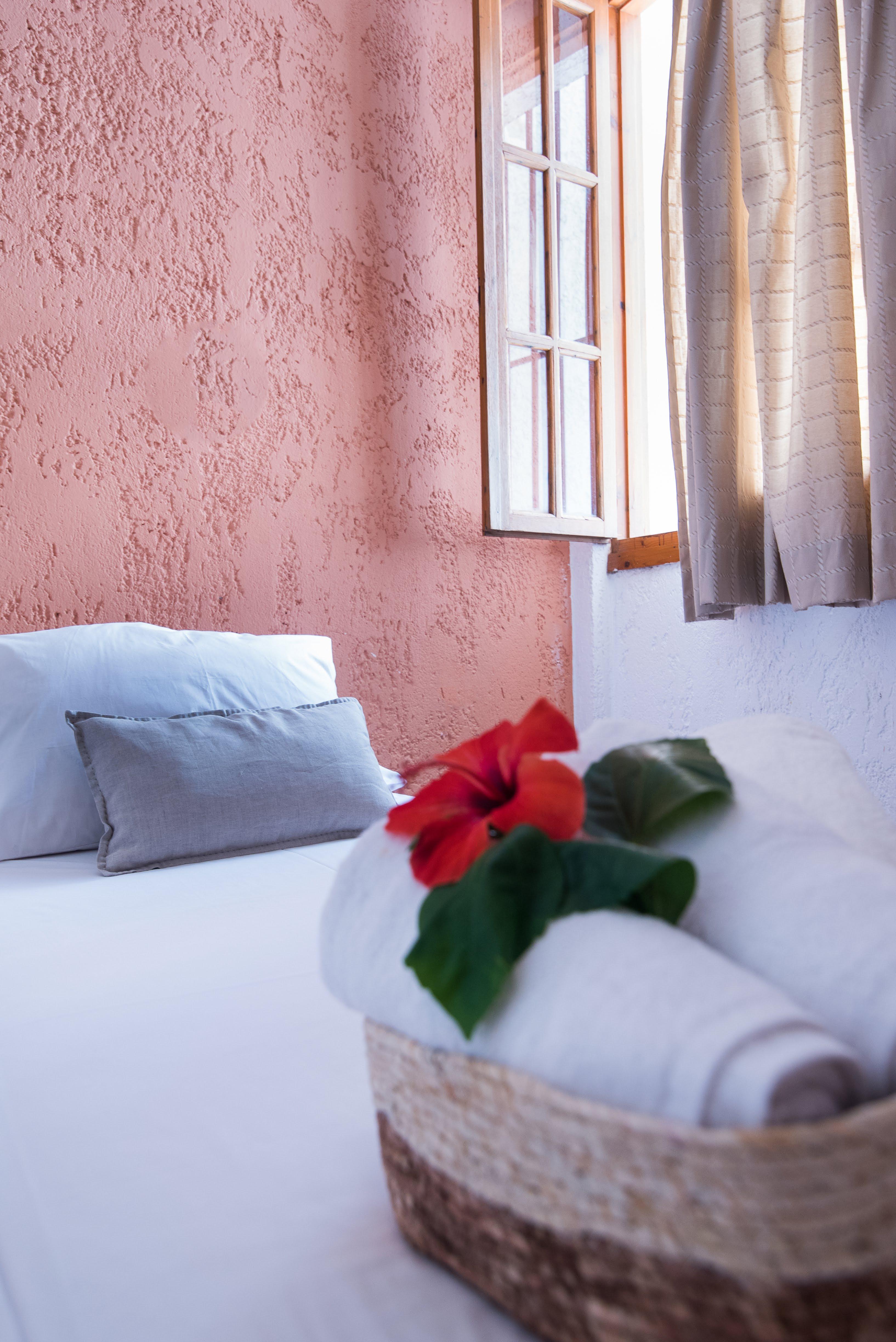 Anna Maria Hotel Malia  Bagian luar foto