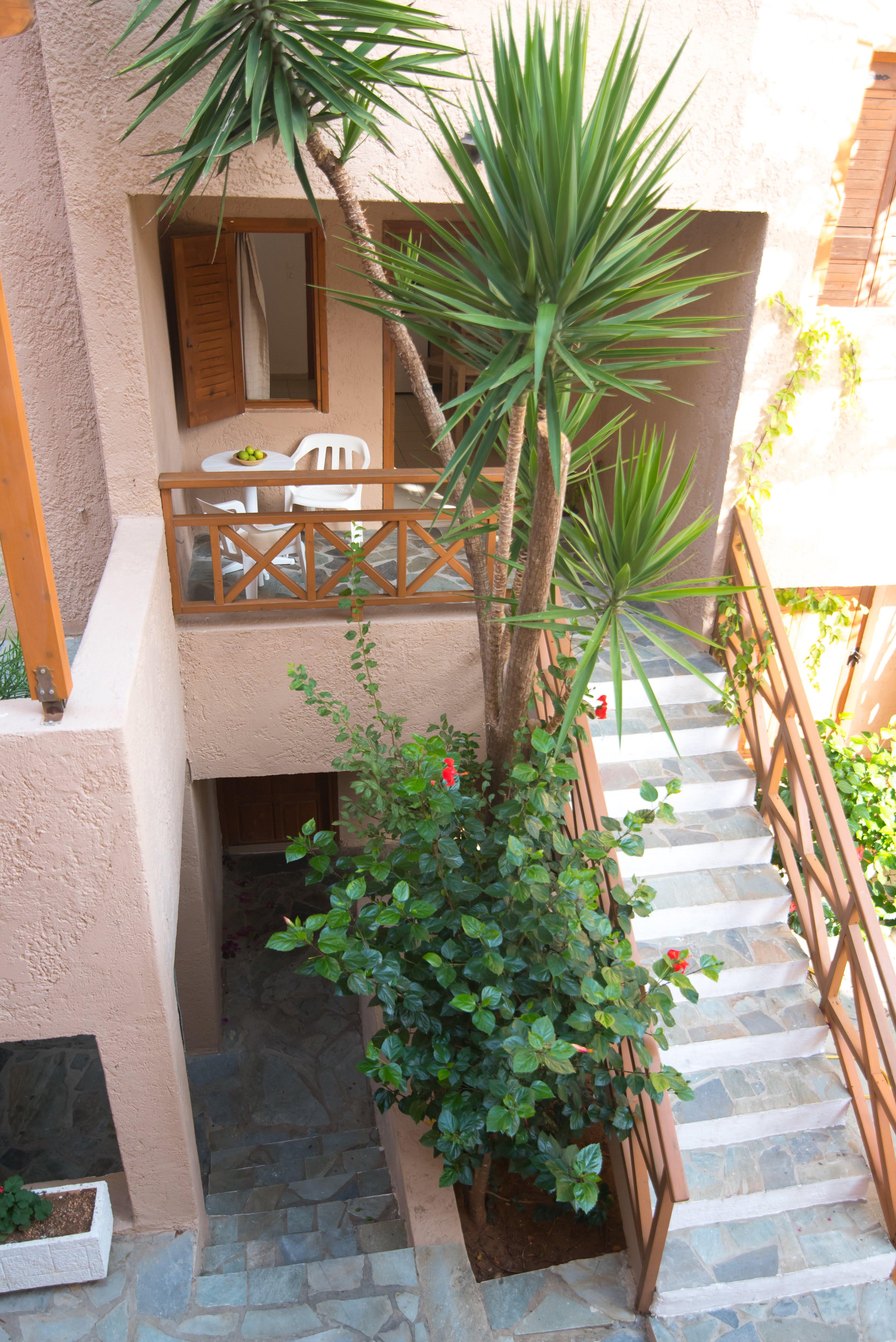 Anna Maria Hotel Malia  Bagian luar foto
